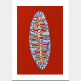 Diatom nr2 Posters and Art